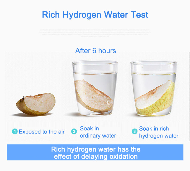 2L Hydrogen Water Generator