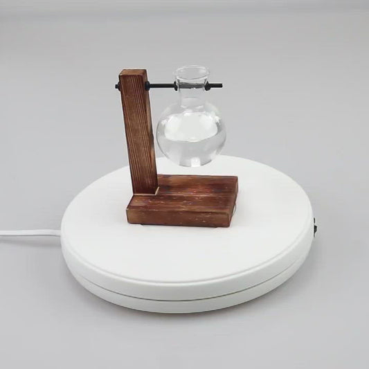 Glass Hydroponic Wooden Base Home Tabletop Terrarium