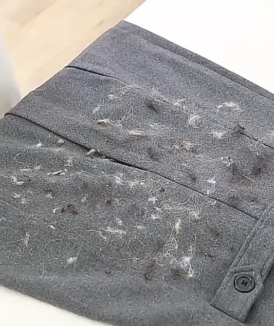 Portable Lint Remover