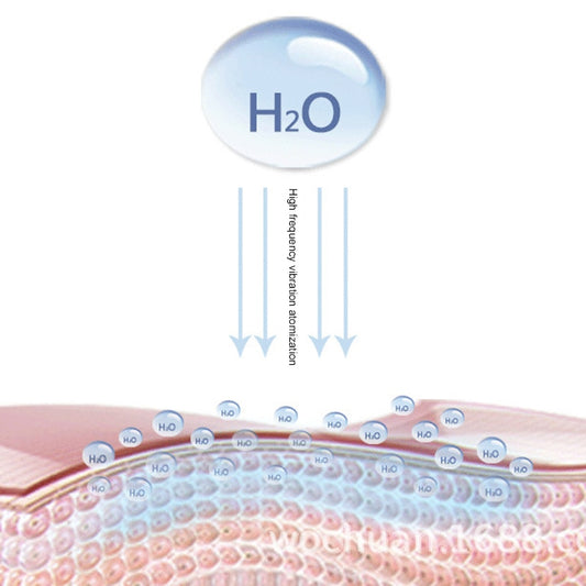 Nano Facial Mister