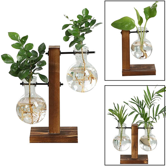 Glass Hydroponic Wooden Base Home Tabletop Terrarium