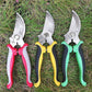 Pruning Garden Shears