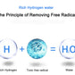 2L Hydrogen Water Generator
