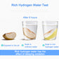 2L Hydrogen Water Generator